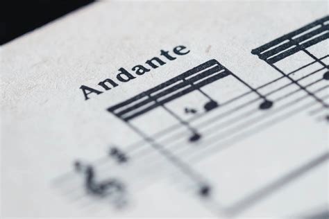 andante meaning music and the role of rhythm in literature