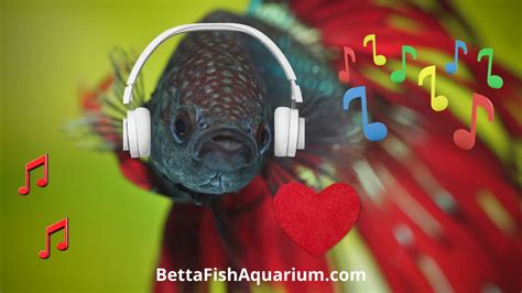 do fish like music