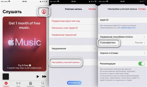 How to Reset Apple Music: A Journey Through the Digital Music World