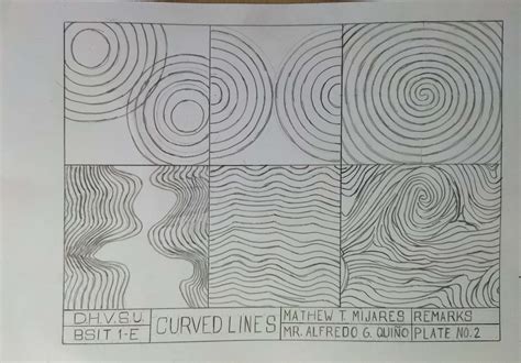 what do curved lines represent in art and why are they often used in nature?